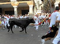 Toro ensogado