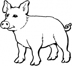 animal-porco-Desenhos e Riscos para colorir