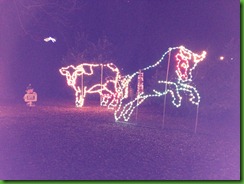 iphone pics 7_31_12 440