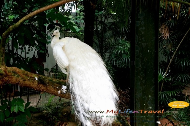 Langkawi Wildlife Park