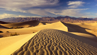  The Sand Dunes