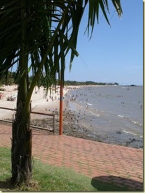 clip_image003