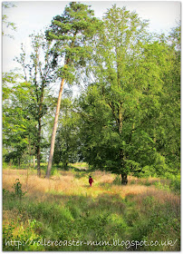 exploring, RSPB BIg Wild Sleep Out Farnham Heath