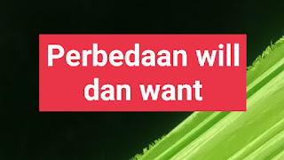 Perbedaan will dan want