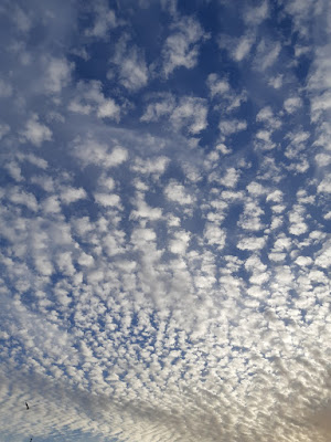 cirrocumulus