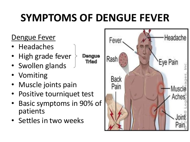 Faculty Head - Health and Physical Education: COMMUNICABLE DISEASES- DENGUE