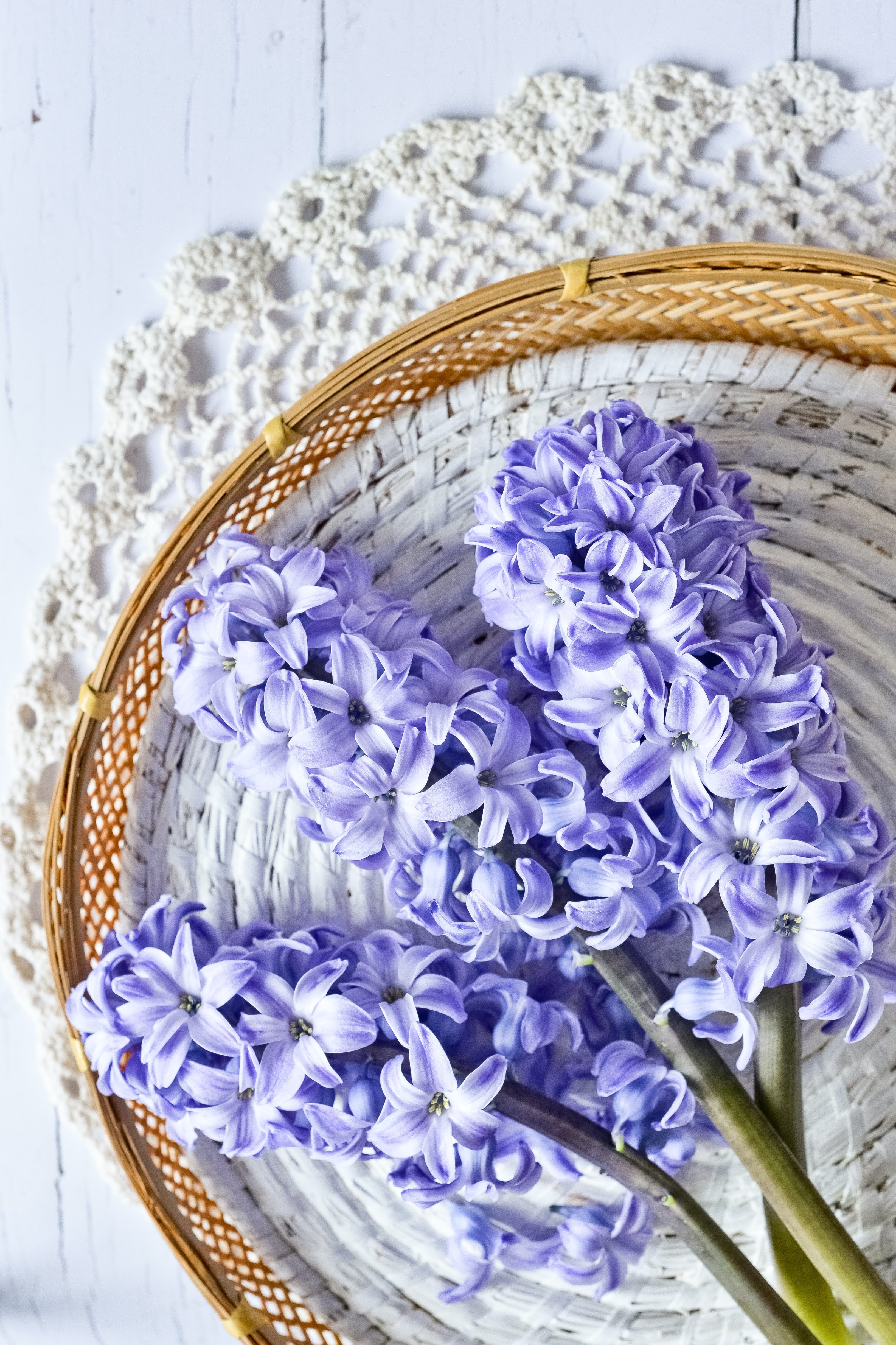 Purple Flowers on Brown Woven Basket | Photo by Margaret Jaszowska via Unsplash