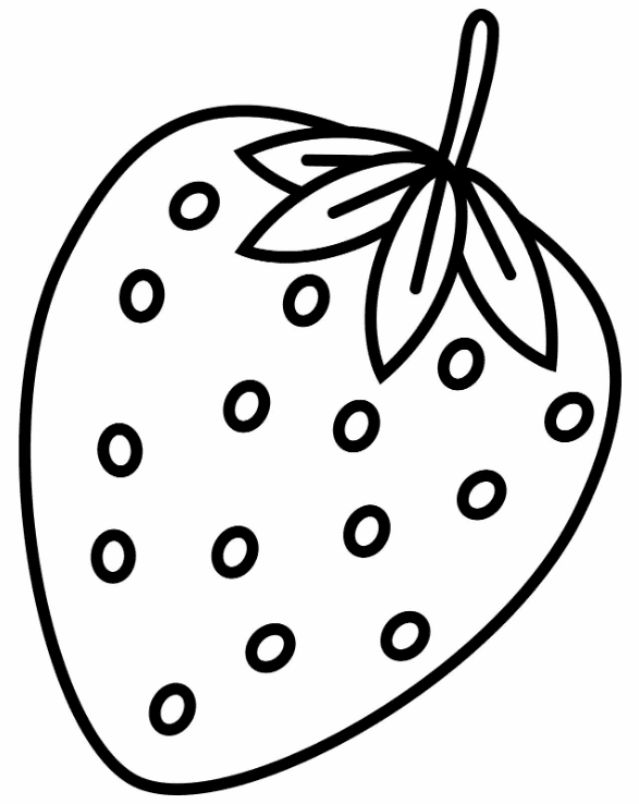  sketsa  gambar buah  buahan Berbagi