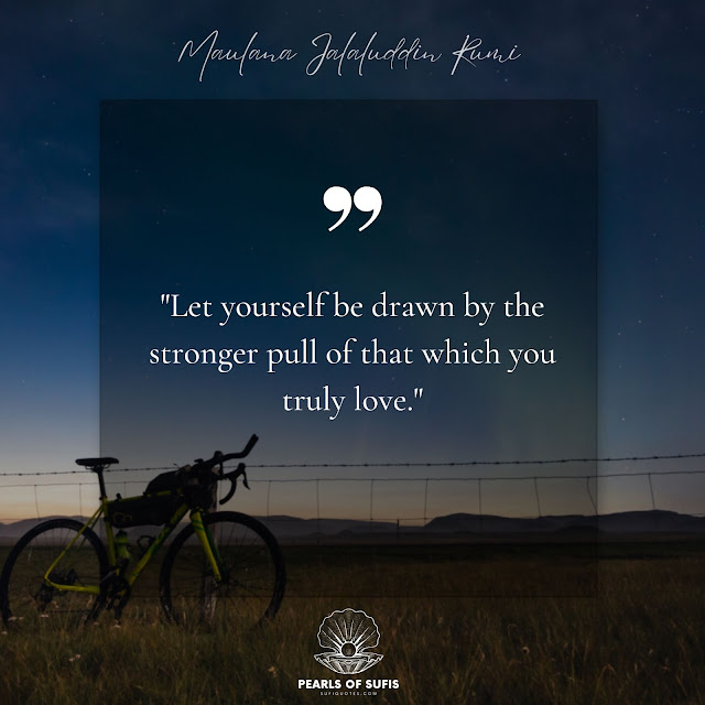 "Let yourself be drawn by the stronger pull of that which you truly love." - Maulana Rumi