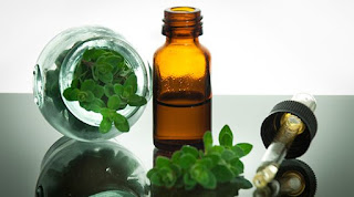 Health Benefits of Oregano Essential Oil