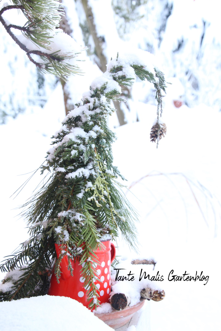 Kleiner Tannenwichtel im Schnee