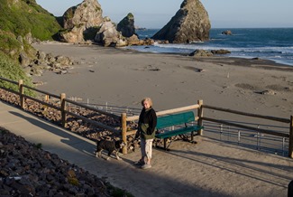 wind whipped Mo at Harris Beach at the accessible walkway