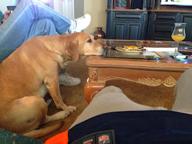 Cute dogs - part 7 (50 pics), dog wants some food on table