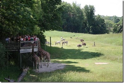 IMG_0100 (Small)