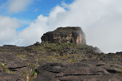 Plateau Roraima