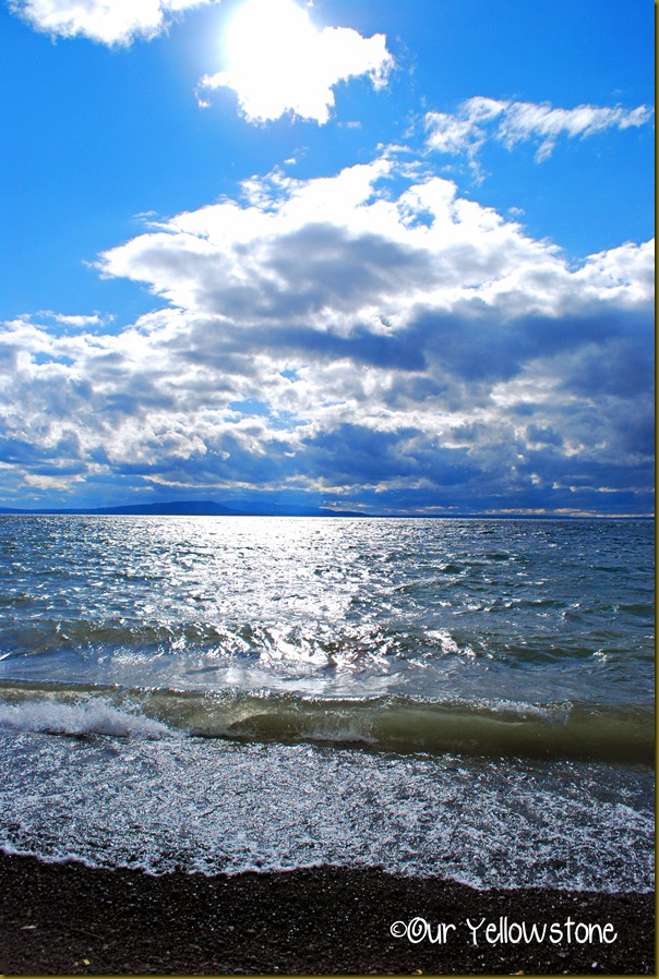 DSC_0340 copyright