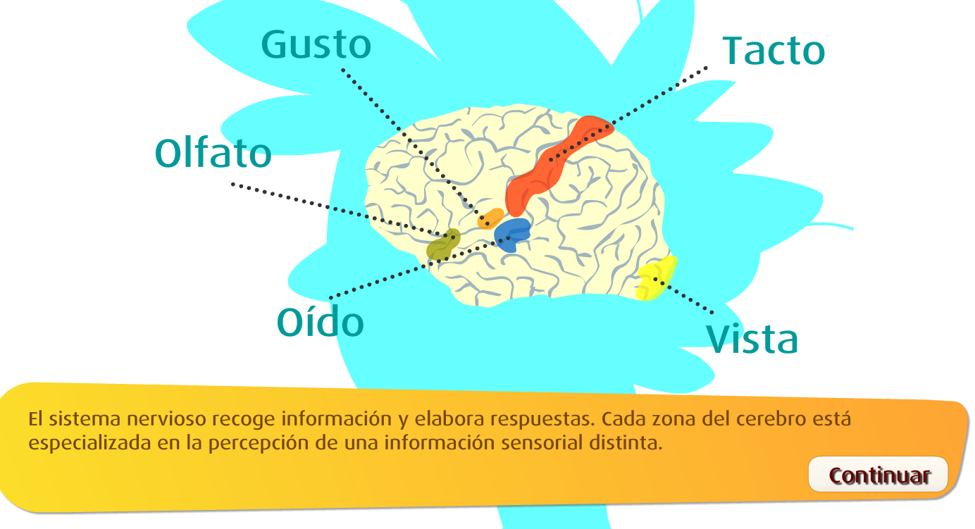 http://www.primerodecarlos.com/TERCERO_PRIMARIA/octubre/Unidad2/actividades/cono/relacion_01/frame_prim.swf