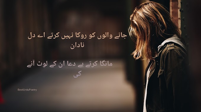 Jaane Walun Ko Rokha Nahen Karty, Best Sad poetry In Urdu &English