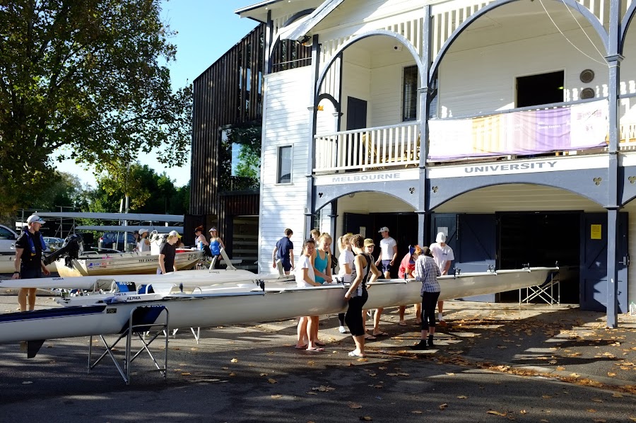 Melbourne yarra river tour by city bike, Docklands to Kings Garden