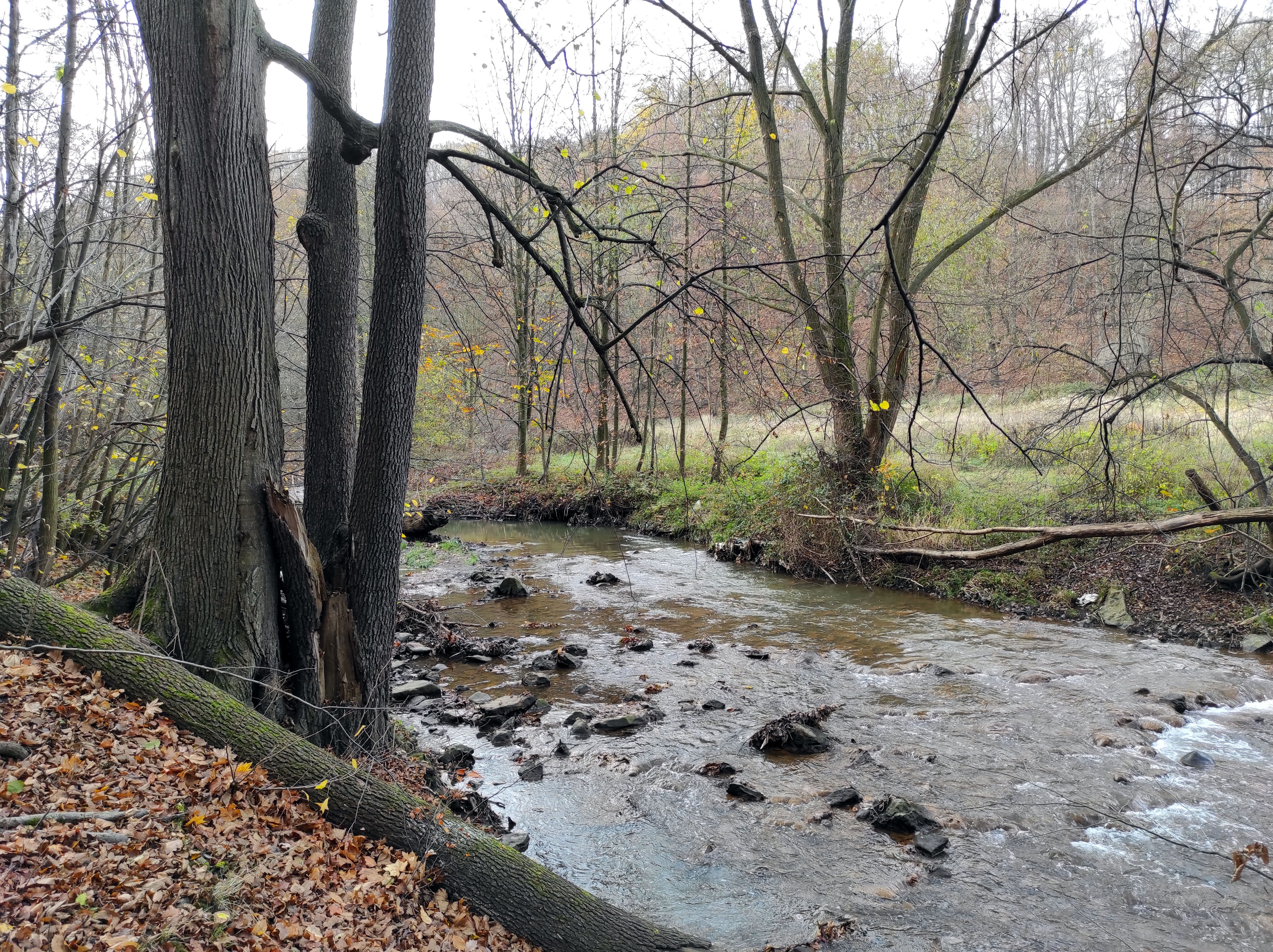 ścieżka Hochbergów, rzeka Pełcznica