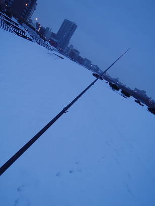 Pc150247.jpg