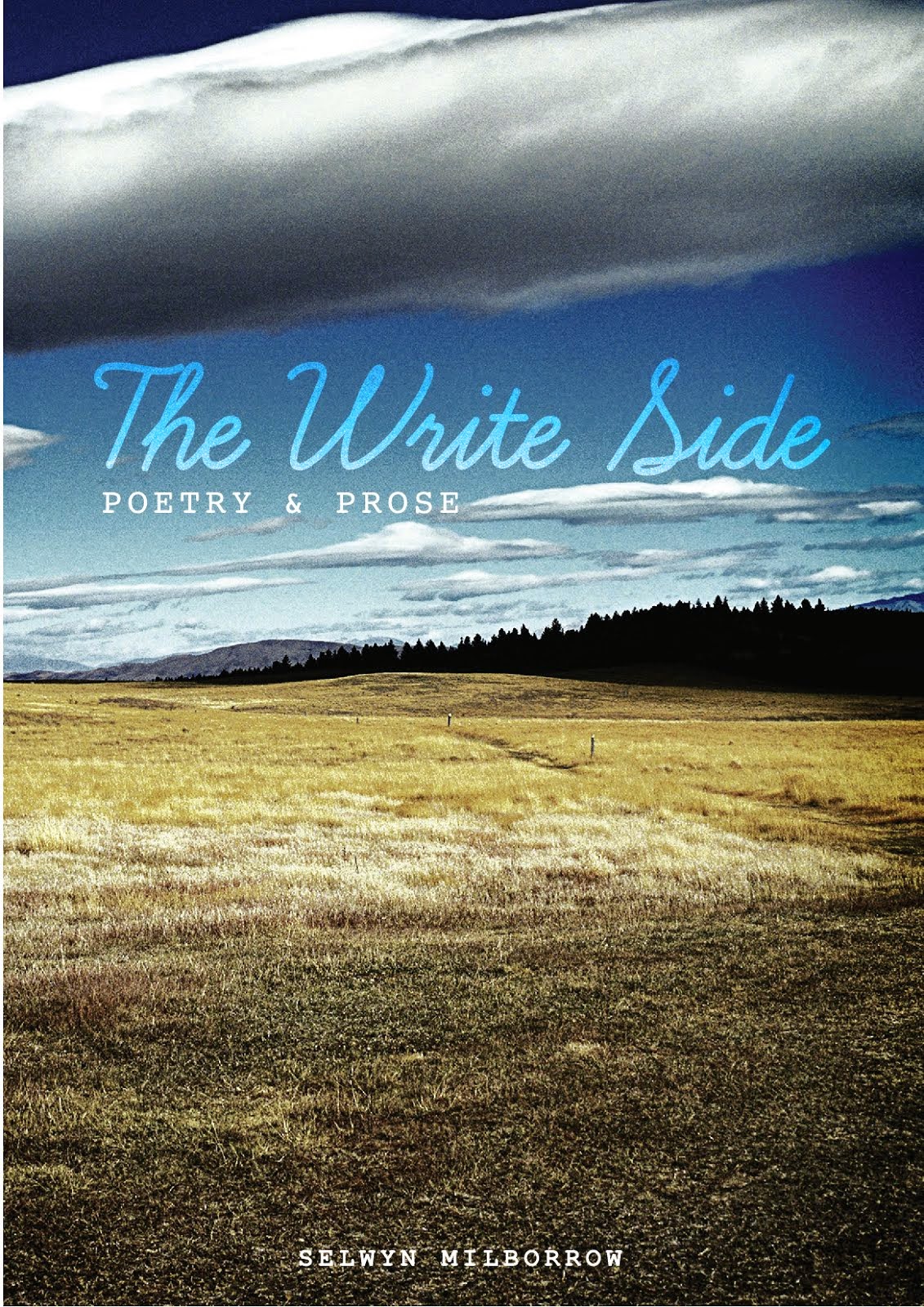 My book "The Write Side"