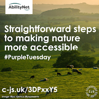 Image of fields with sheep grazing in the foreground & fields and trees in the background - for #PurpleTuesday