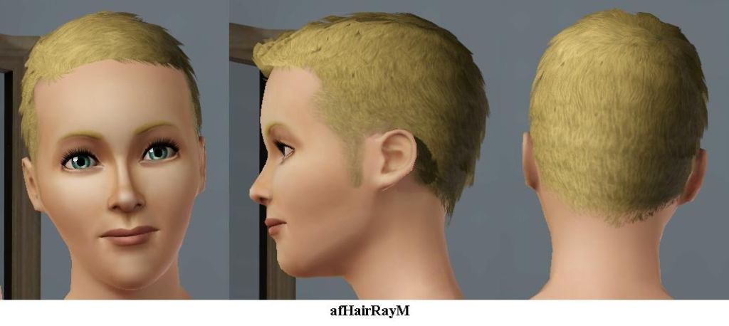 Ambitions short hairstyles converted to female by Wojtek