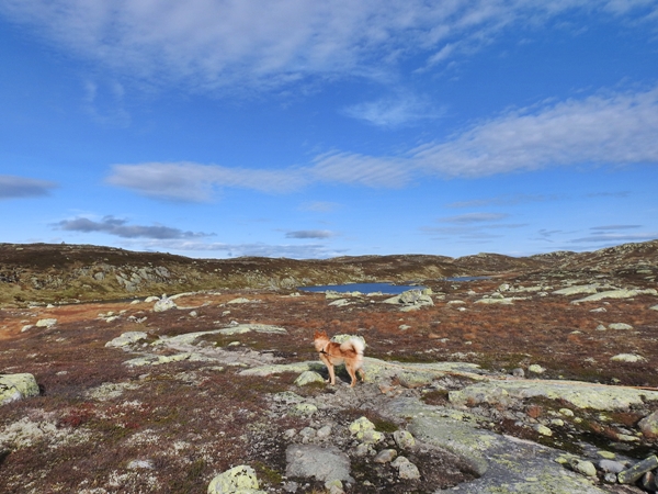 Fjellelva Vassfarstien,Storekrak Steinhyttevatne vassfaret