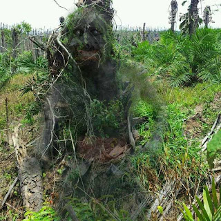 拍到鬼怪 鬼故事 撞邪