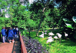 Parque Das Aves, Brasil, Visitar, Excursión, Realizar, Turismo