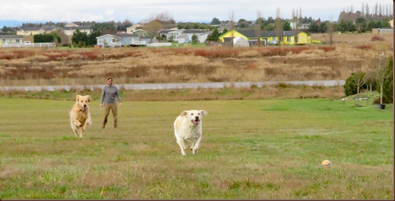 Sequim WA11-7 Feb 2018