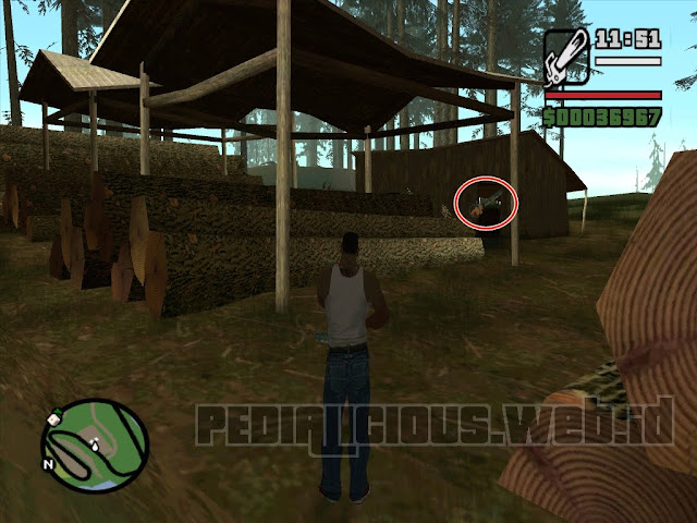 Chainsaw, The Panopticon, Red County GTA SA