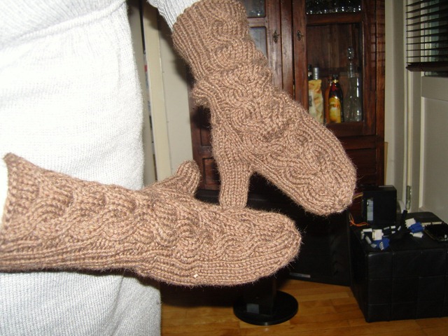 SNC13020_resize