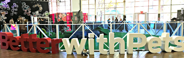 wide angle of Better With Pets block letter sculptures in front of dog agility ring