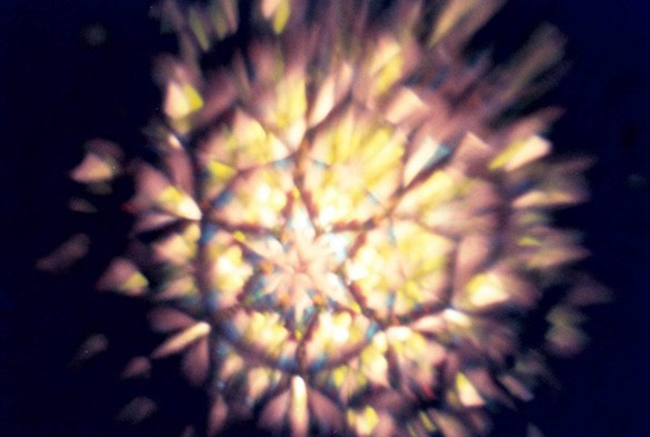 33553_451439790848_273616305848_5849816_293985_n