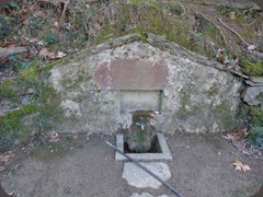 DSC04907