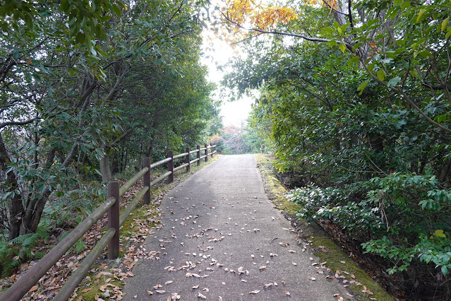 鳥取県西伯郡大山町富岡 むきばんだ史跡公園 弥生の森 遊歩道