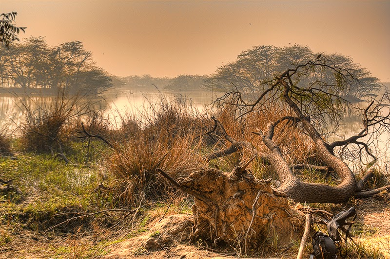 Sultanpur National Park