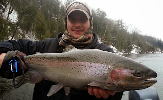 Au Sable River Spring Steelhead