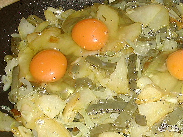 DSCN4553