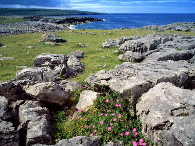 Naturaleza y Paisajes de Irlanda