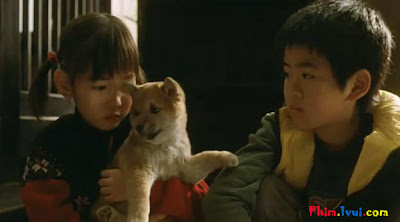 Phim Chú Chó Trung Thành - A Tale Of Mari And Three Puppies [Vietsub] Online