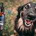 Unleash the Power of UltraK9 Pro: The Ultimate Solution for a Happy and Healthy Dog.