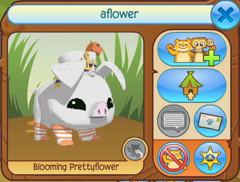 Animal Jam Special Agents Stopping Scammers 18