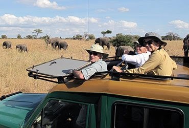 Professionally Guided Safaris In Kenya And Their Top Benefits