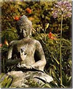 zen-like-serenity