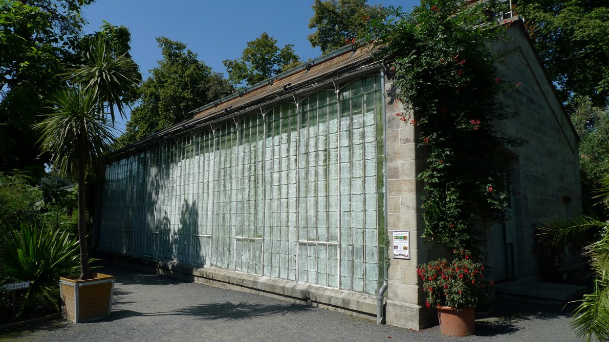 Martin y Juan: Botanischer Garten Göttingen