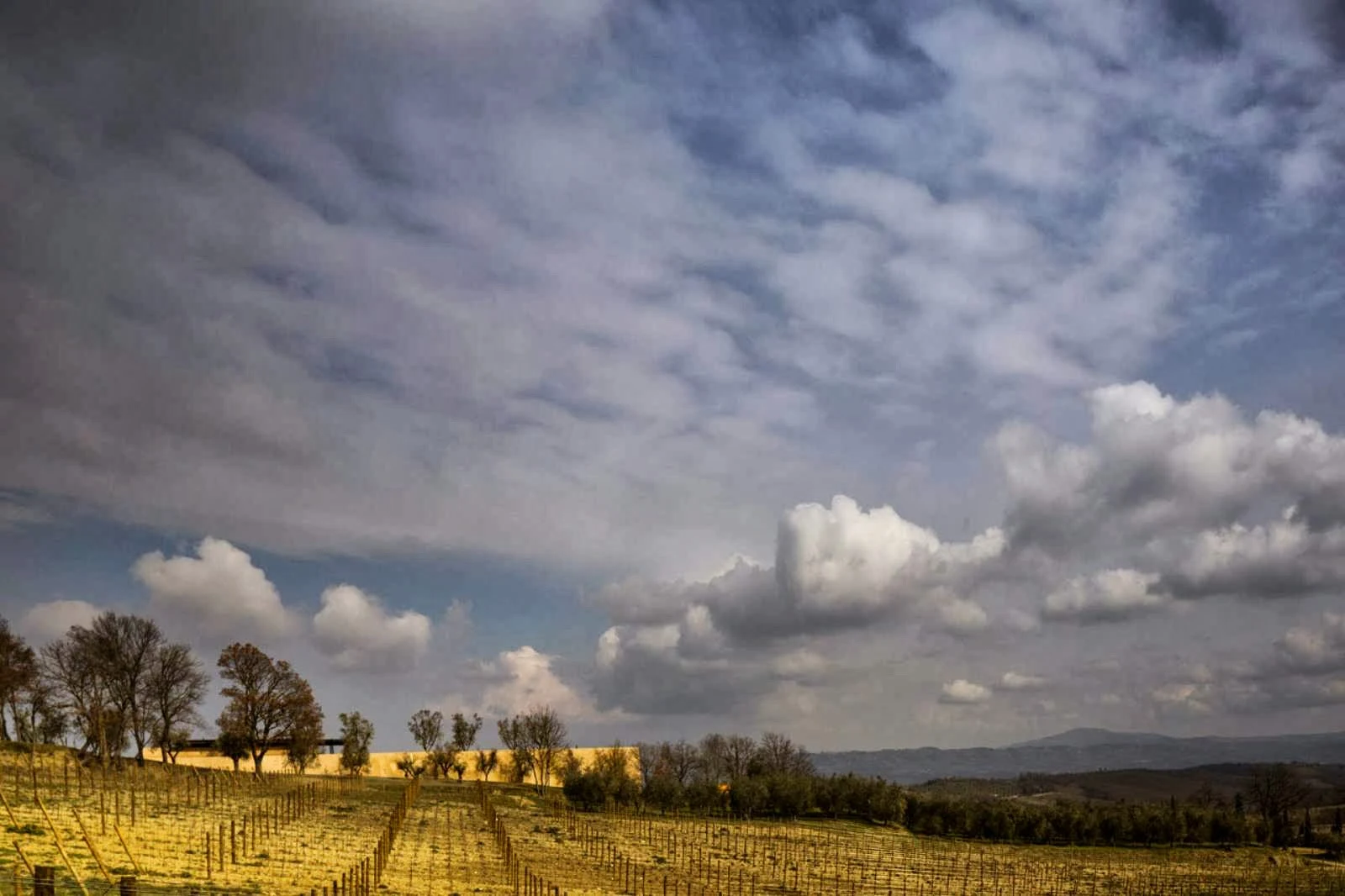 Bulgari Winery by Alvisi Kirimoto Partners