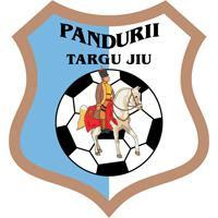 Dnipro Pandurii Tg. Jiu LIVE pe Digi Sport 1 28.11.2013